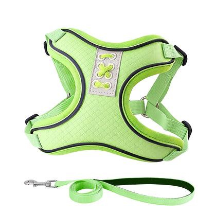 Reflective Mesh Harness & Leash Set