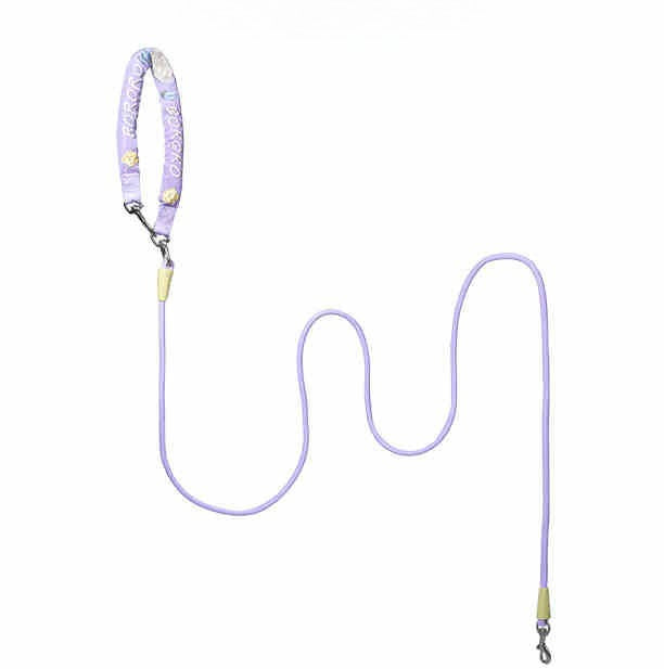 Embroidered Training Slip Dog Leash