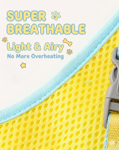 Lightweight Mesh Harness & Leash Set