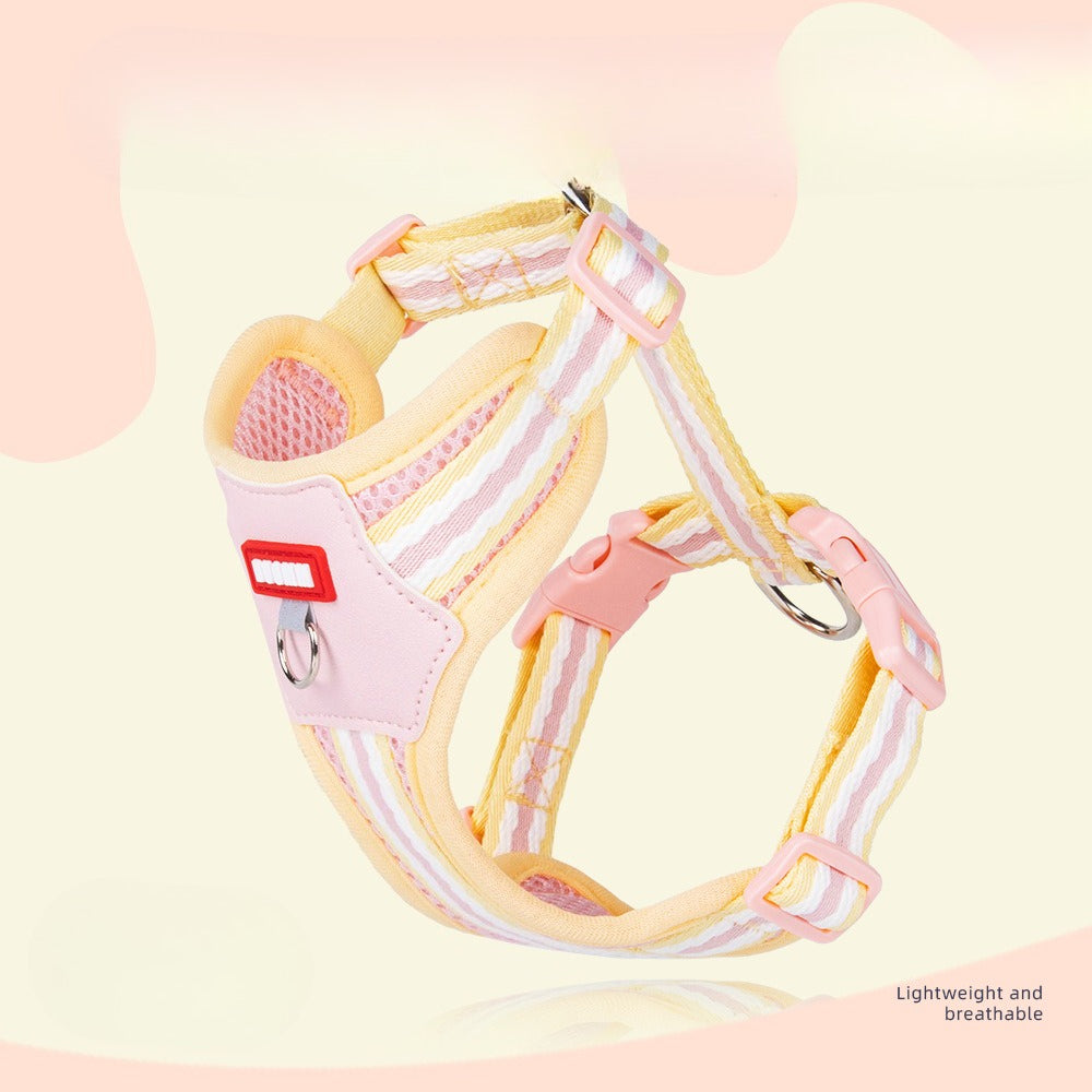 Breathable Mesh Harness & Leash Set