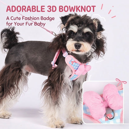 Plaid Bow Harness & Leash Set