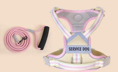 Breathable Mesh Harness & Leash Set