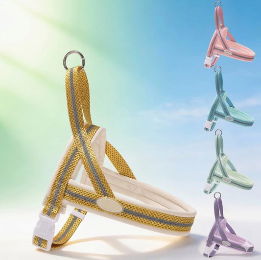 Reflective Mesh Harness & Leash Set