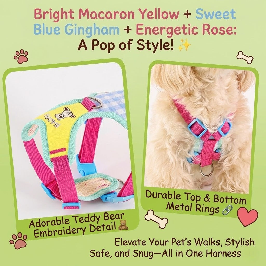 Plaid Bear Harness & Leash Set