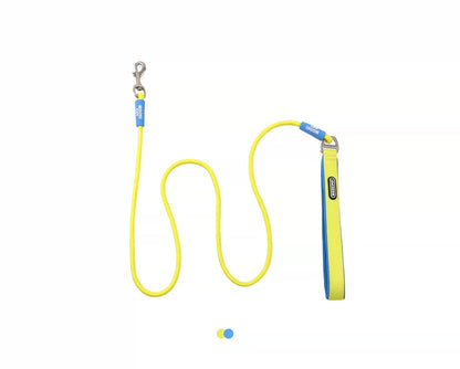 Geometric Color-Block Dog Leash