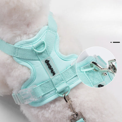Breathable Mesh Harness & Leash Set
