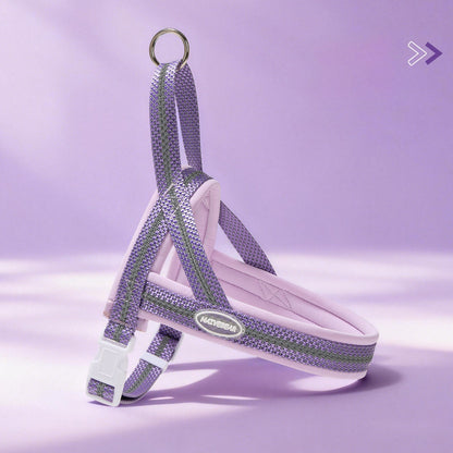 Reflective Mesh Harness & Leash Set