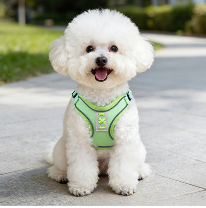 Reflective Mesh Harness & Leash Set