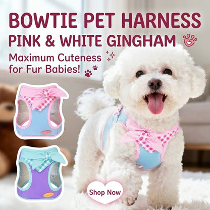 Plaid Bow Harness & Leash Set