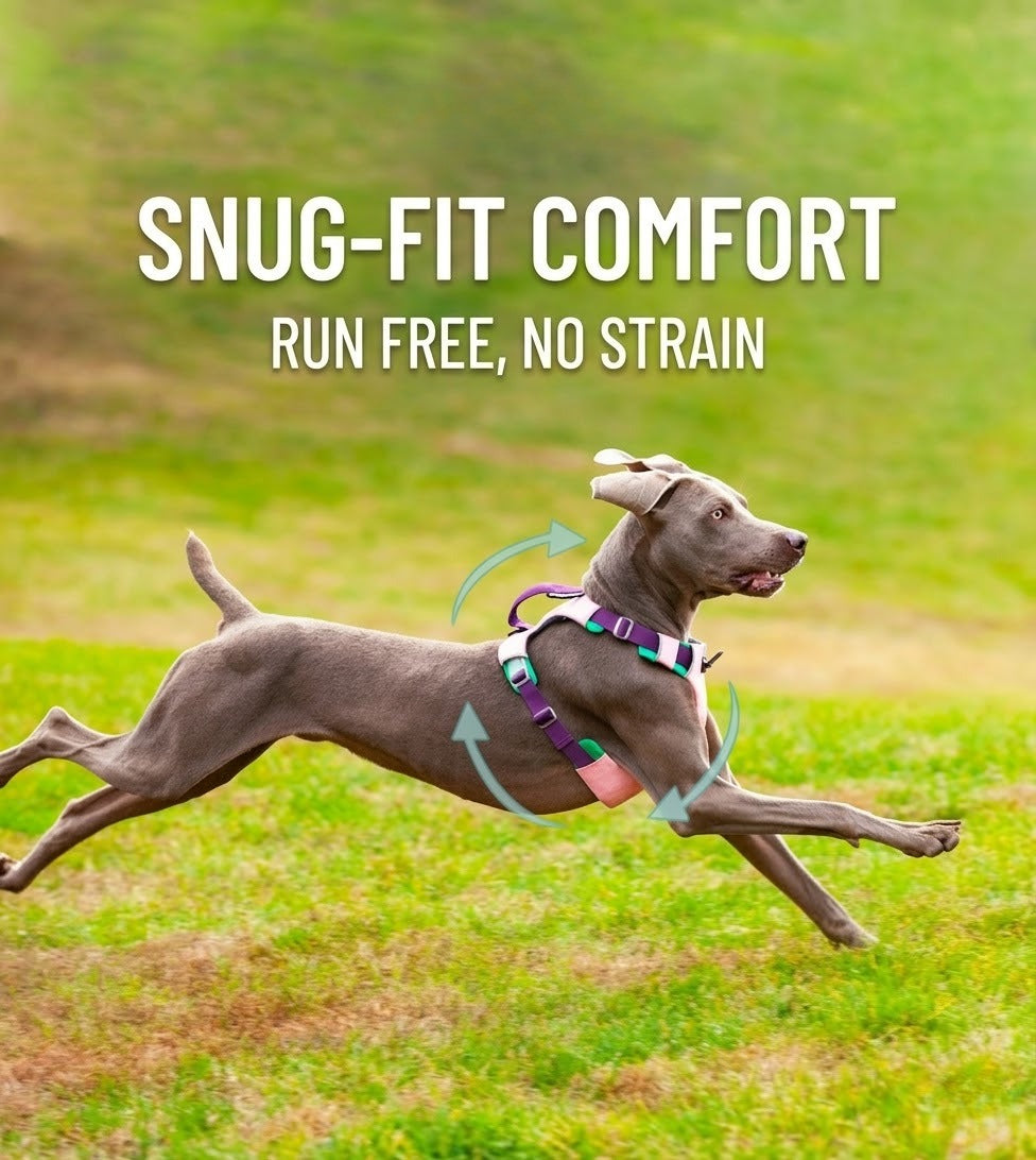 Reflective No-Pull Dog Harness