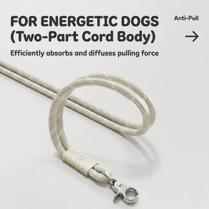 Hands-Free Shock-Absorbing Dog Leash