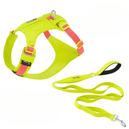 Hidden Pocket Harness & Leash Set