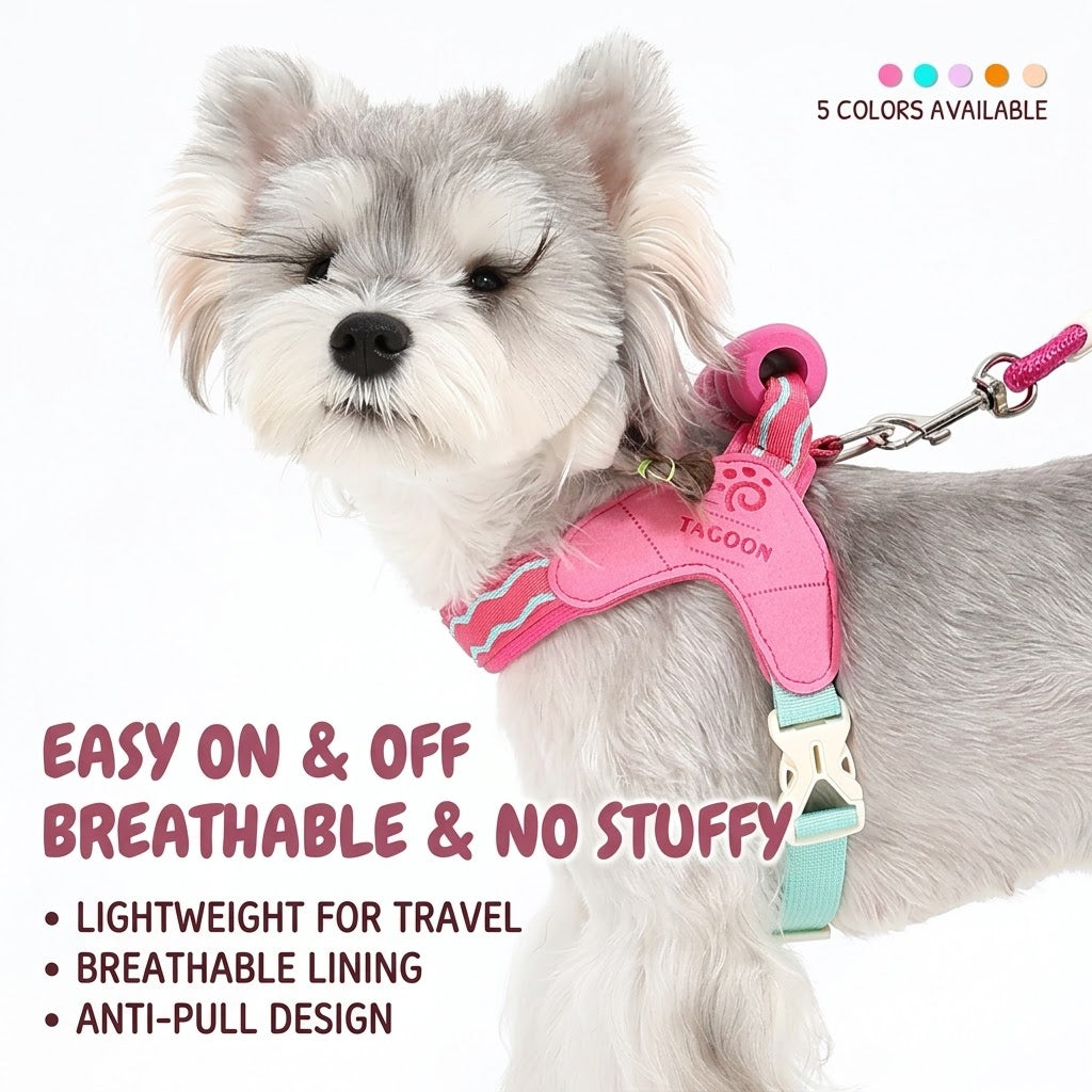 Wave Pattern Harness & Leash Set