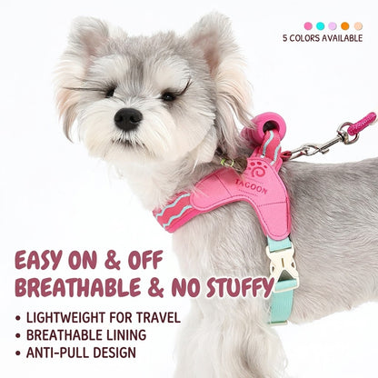 Wave Pattern Harness & Leash Set