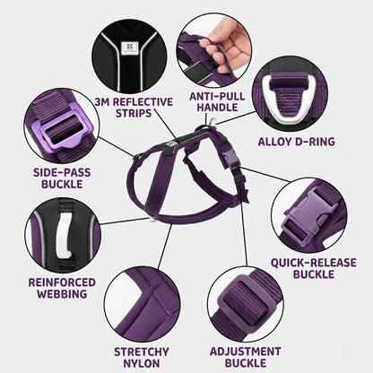 Reflective Y-Shaped Dog Harness