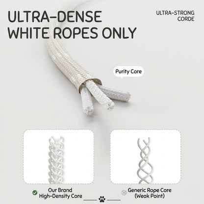 Hands-Free Shock-Absorbing Dog Leash