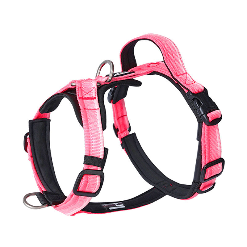 Gradient Harness & Leash Set