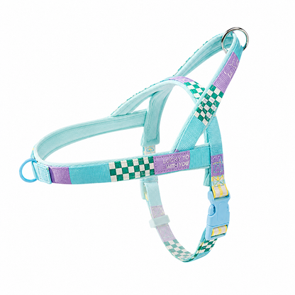 Patterned Harness & Leash Set