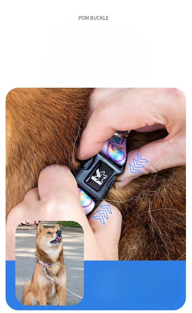 Patterned Soft Lined Dog Collar