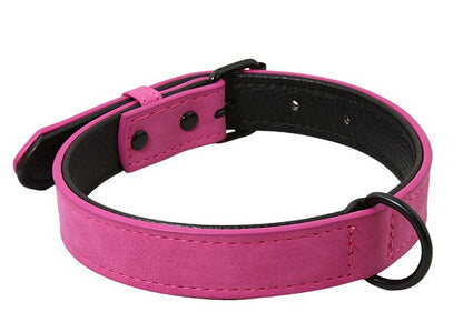 PVC Leather Dog Collar for Dogs – Multi