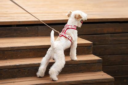 Reflective Y-Shaped Dog Harness