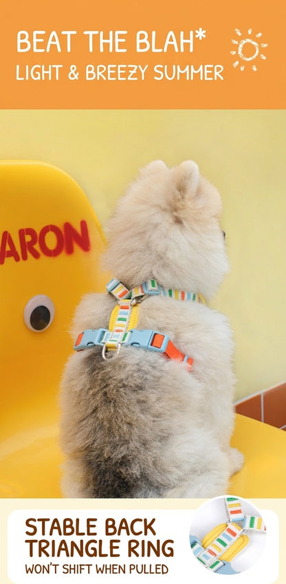Rainbow Waterproof Dog Harness