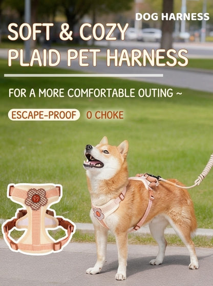 Plaid Harness & Leash Set