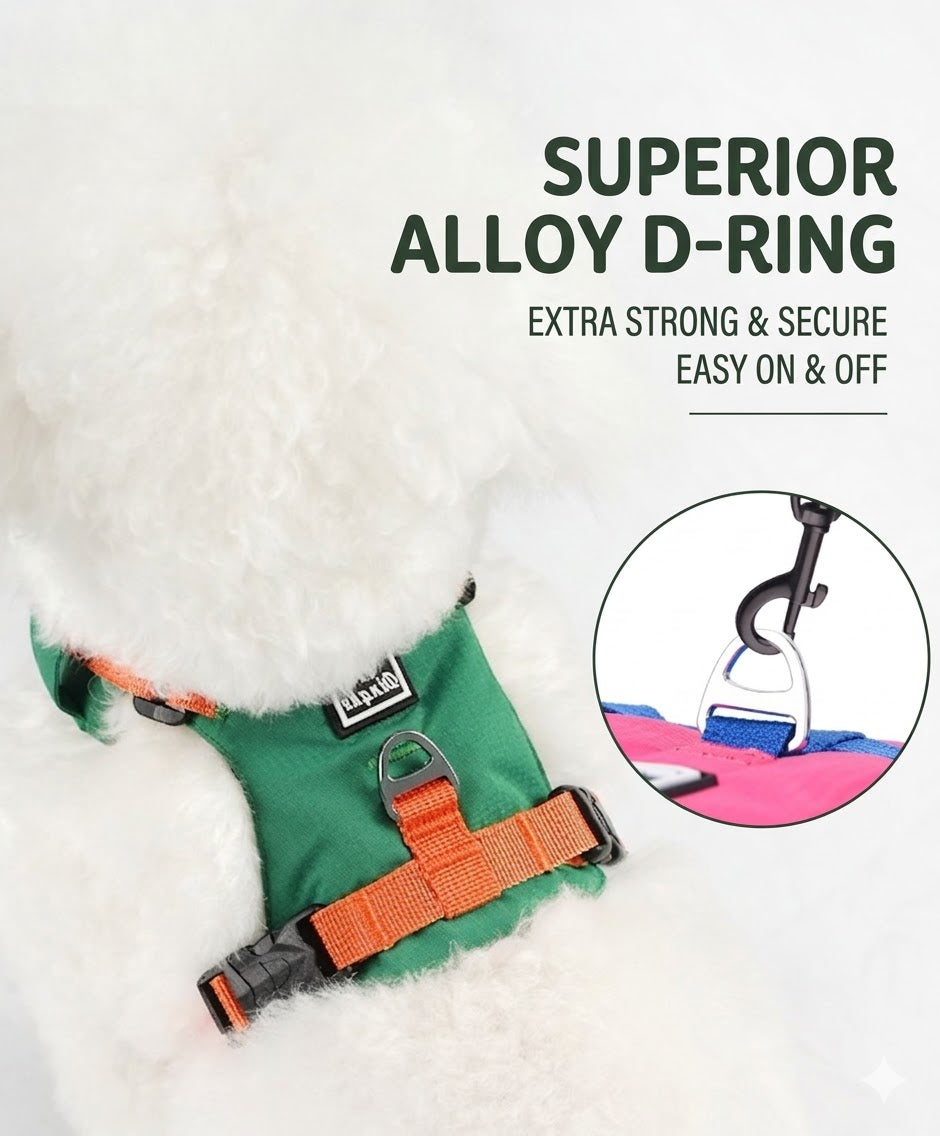 Lightweight Harness & Leash Set