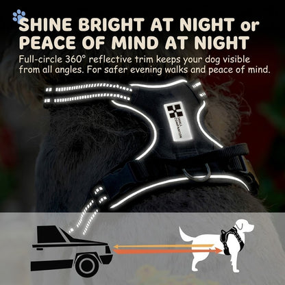 Reflective Harness & Leash Set