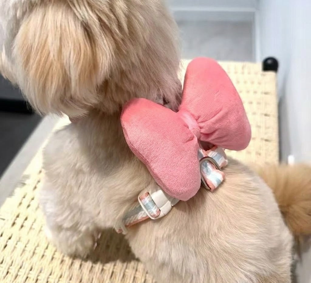Plush Bow Harness & Leash Set