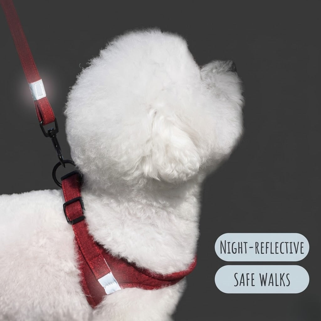 Reflective Breathable Harness & Leash Set