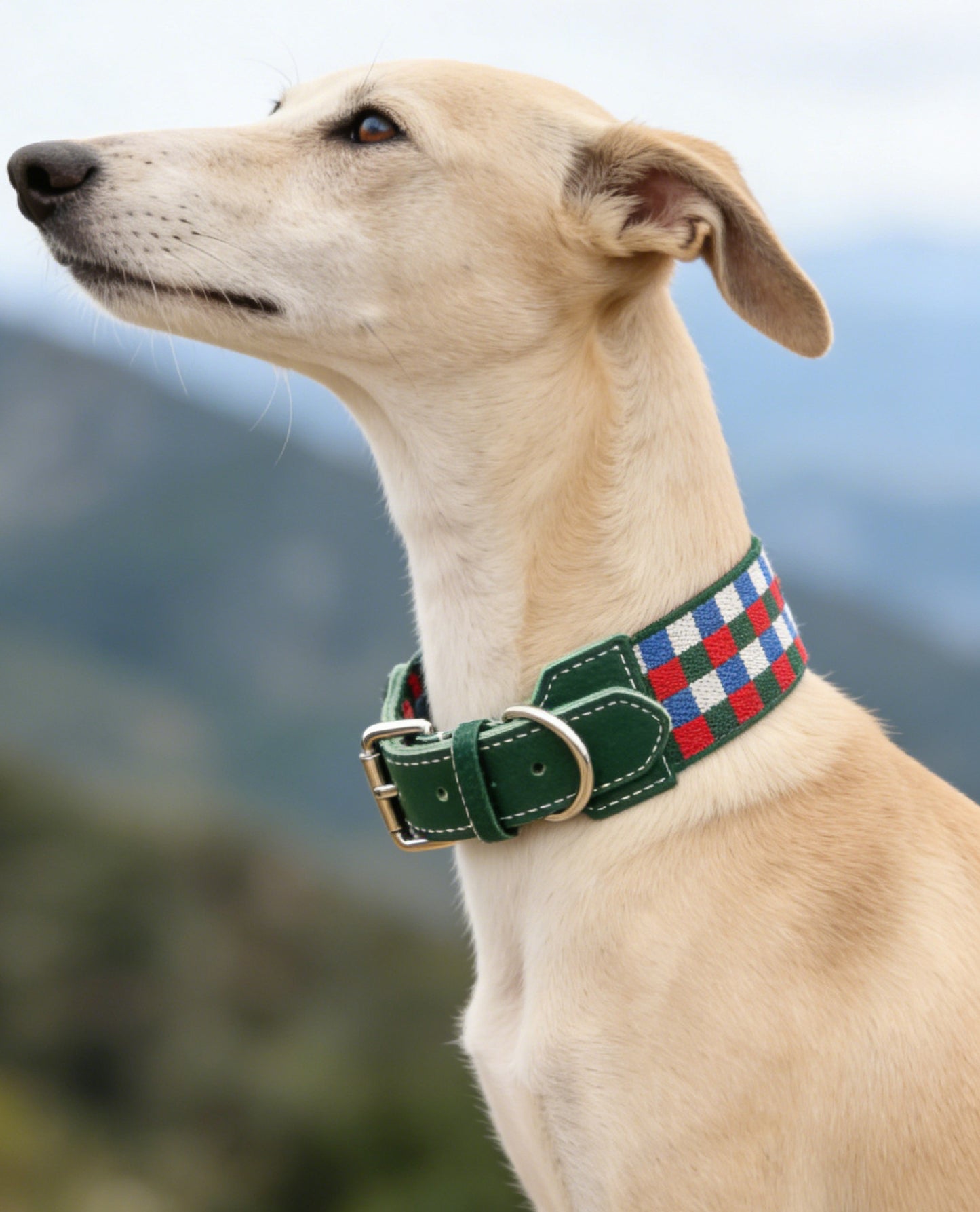 Plaid Leather Wide Dog Collar