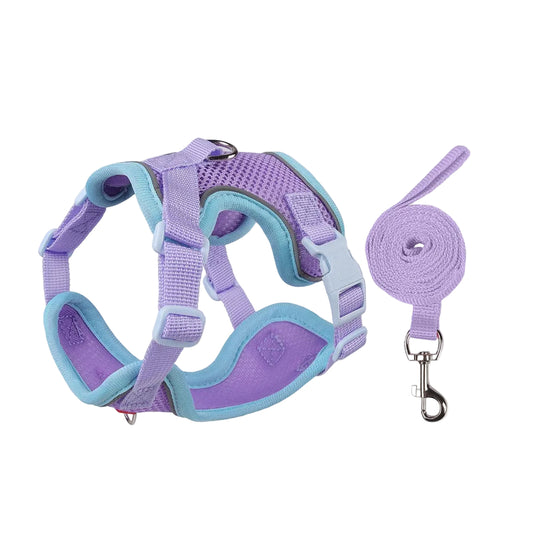 Reflective Mesh Harness & Leash Set