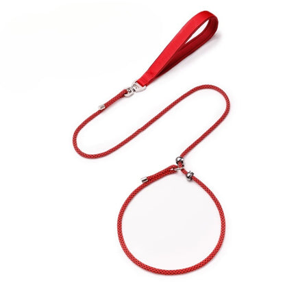 Professional Climbing Rope Slip Dog Leash