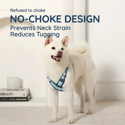 X-Shaped Breathable Harness & Leash Set