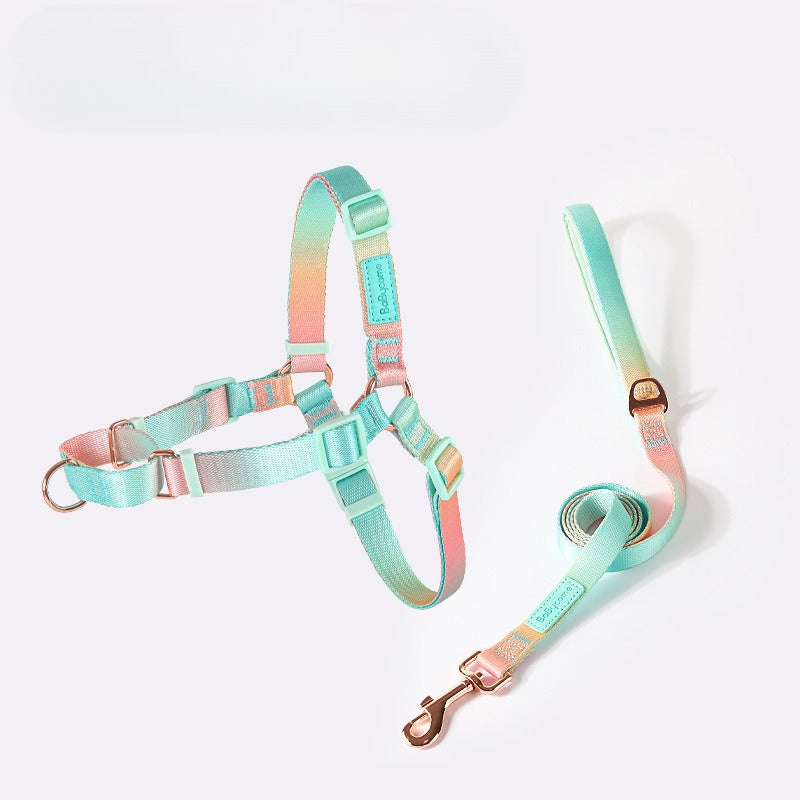 Gradient Harness & Leash Set