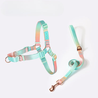 Gradient Harness & Leash Set