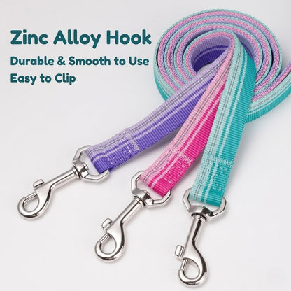 Multi-functional Reflective Dog Leash