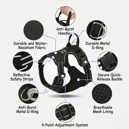 Reflective Harness & Leash Set