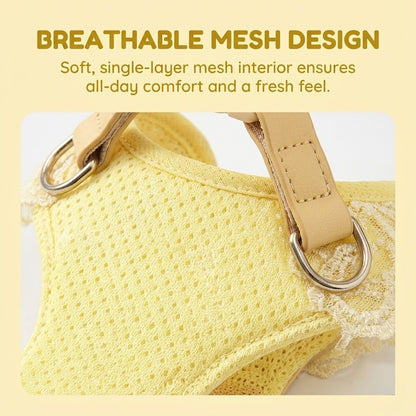 Polka Dot Harness & Leash Set