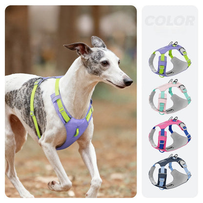 Lightweight Reflective Dog Harness