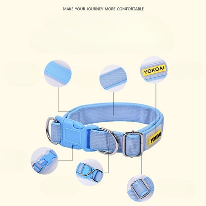 Padded Solid Dog Collar for Dogs – Pink