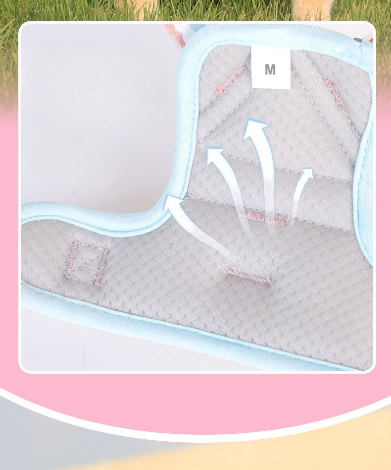 Breathable Mesh Harness & Leash Set