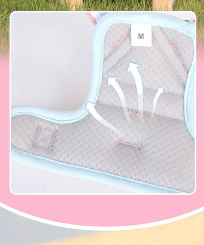 Breathable Mesh Harness & Leash Set
