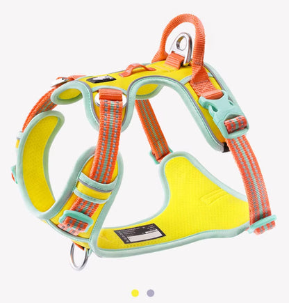 Reflective No-Pull Harness & Leash Set