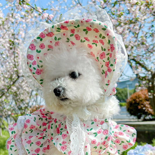 Adjustable Outdoor Dog Hat