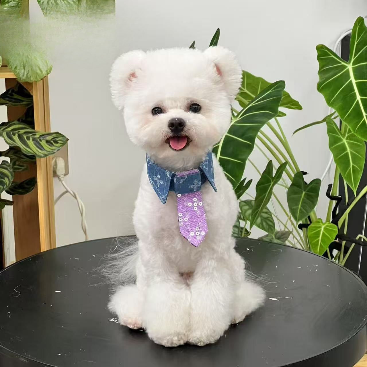Sequin Denim Dog Bow Tie for Dogs – Multi