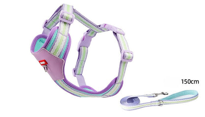 Breathable Mesh Harness & Leash Set