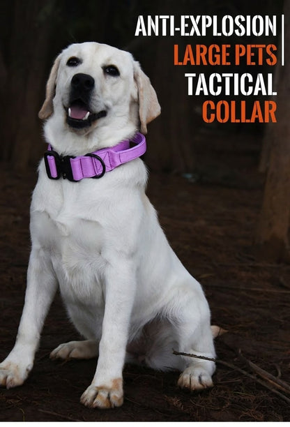 Tactical Handle Dog Collar