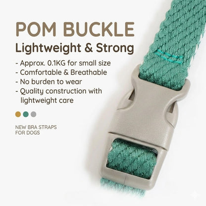 Lightweight Quick-Wear Harness & Leash Set